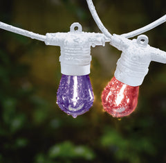 White 10LT Festoon Lighting Kit