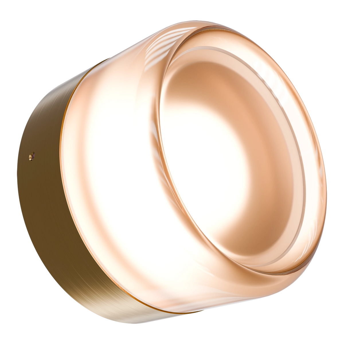 Gull Frosted or Ribbed Acrylic & Steel Wall Light