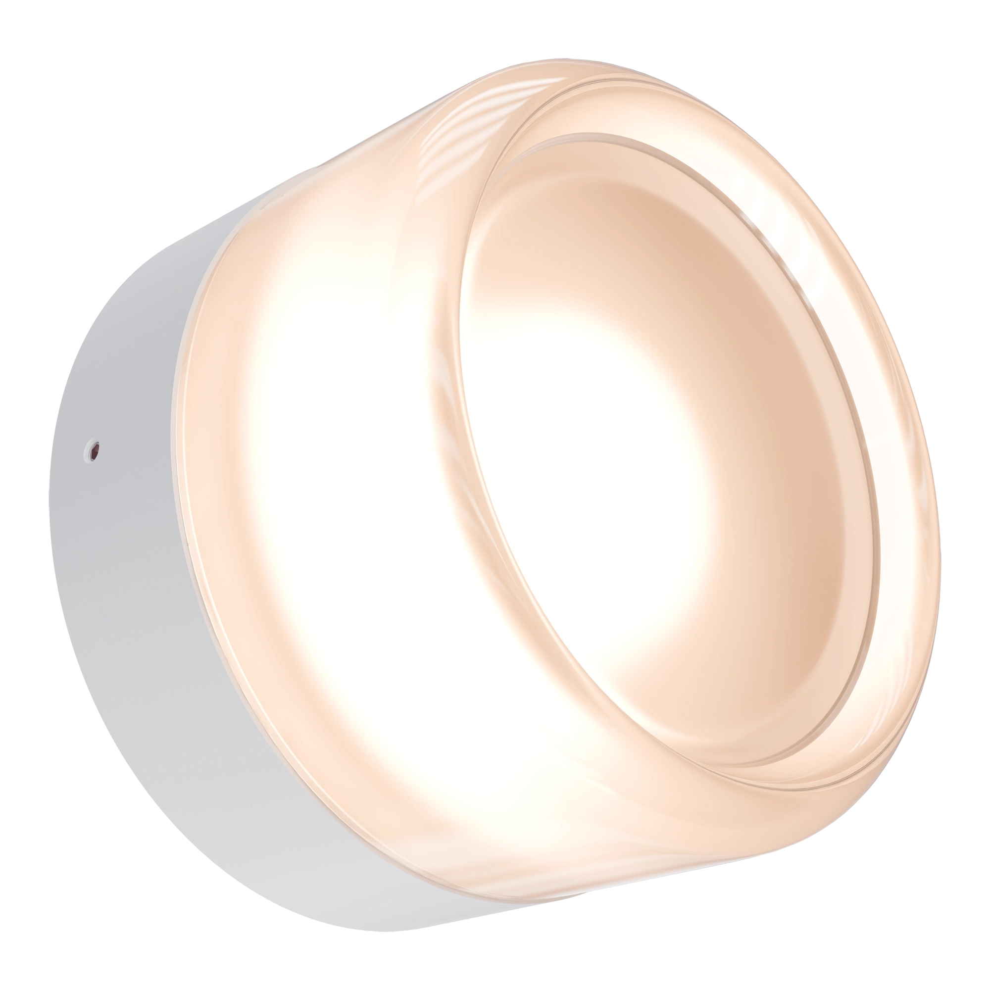 Gull Frosted or Ribbed Acrylic & Steel Wall Light