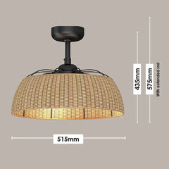 Harlow 20" DC Light Fan Black & Rattan