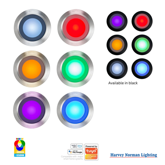 Flame 6LT DIY Deck Light Kit 316SS RGB