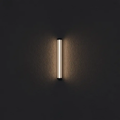 Junco LED Exterior Wall Light