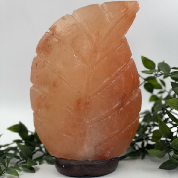Leaf Shaped Salt Lamp