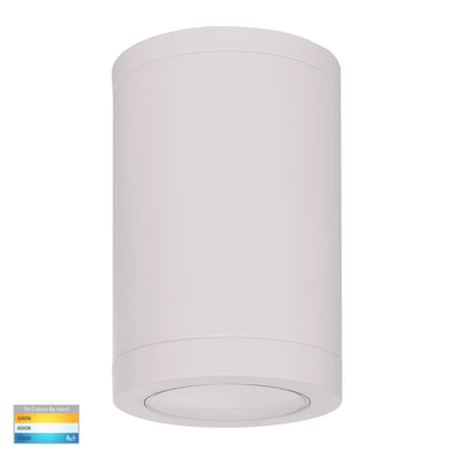 Lexan Large Surface Mounted Downlight White