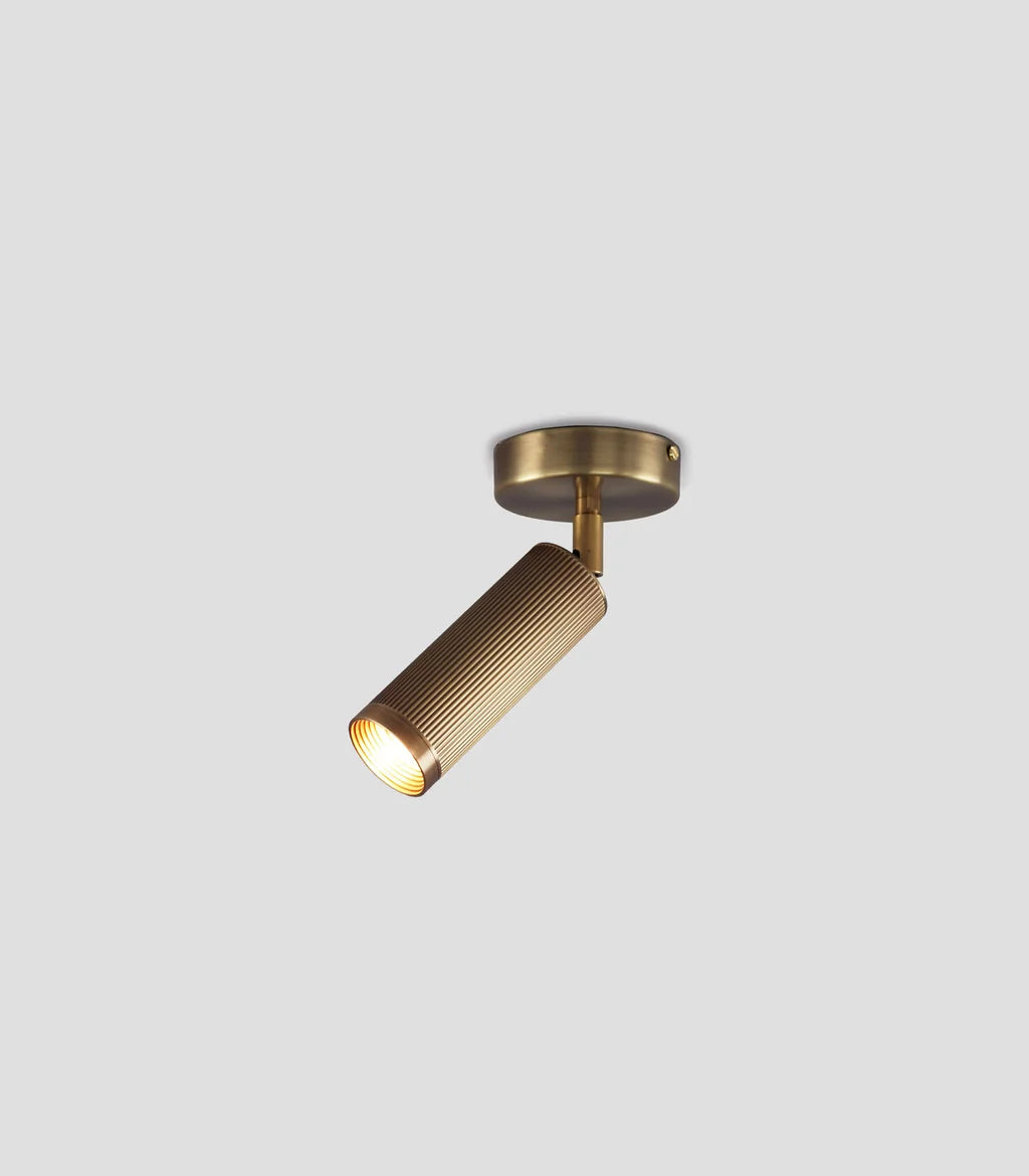 Spot Ceiling Light