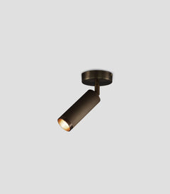 Spot Ceiling Light