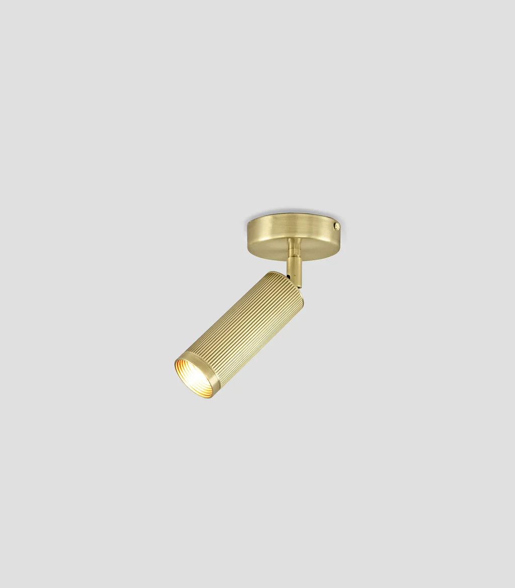 Spot Ceiling Light