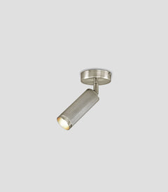 Spot Ceiling Light