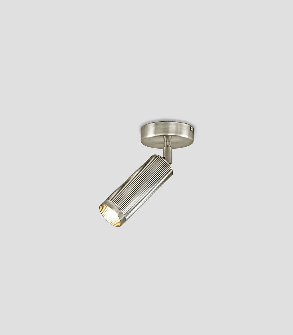 Spot Ceiling Light