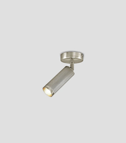 Spot Ceiling Light