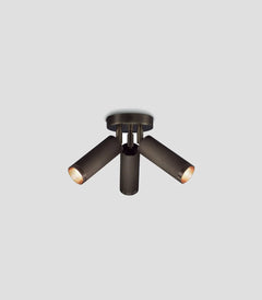 Spot Triple Ceiling Light