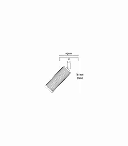 Spot Ceiling Light