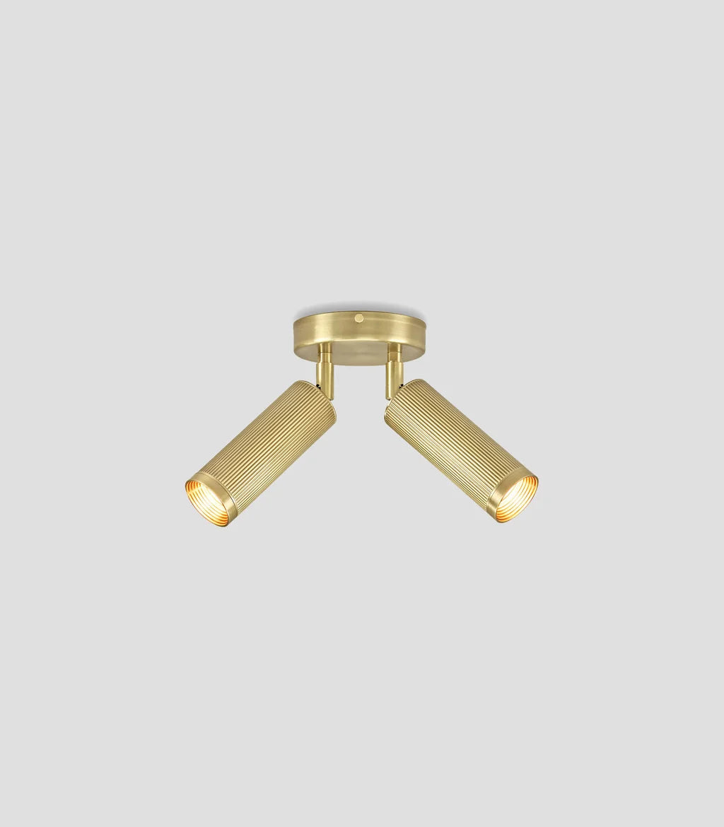 Spot Double Ceiling Light
