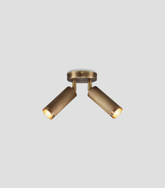 Spot Double Ceiling Light