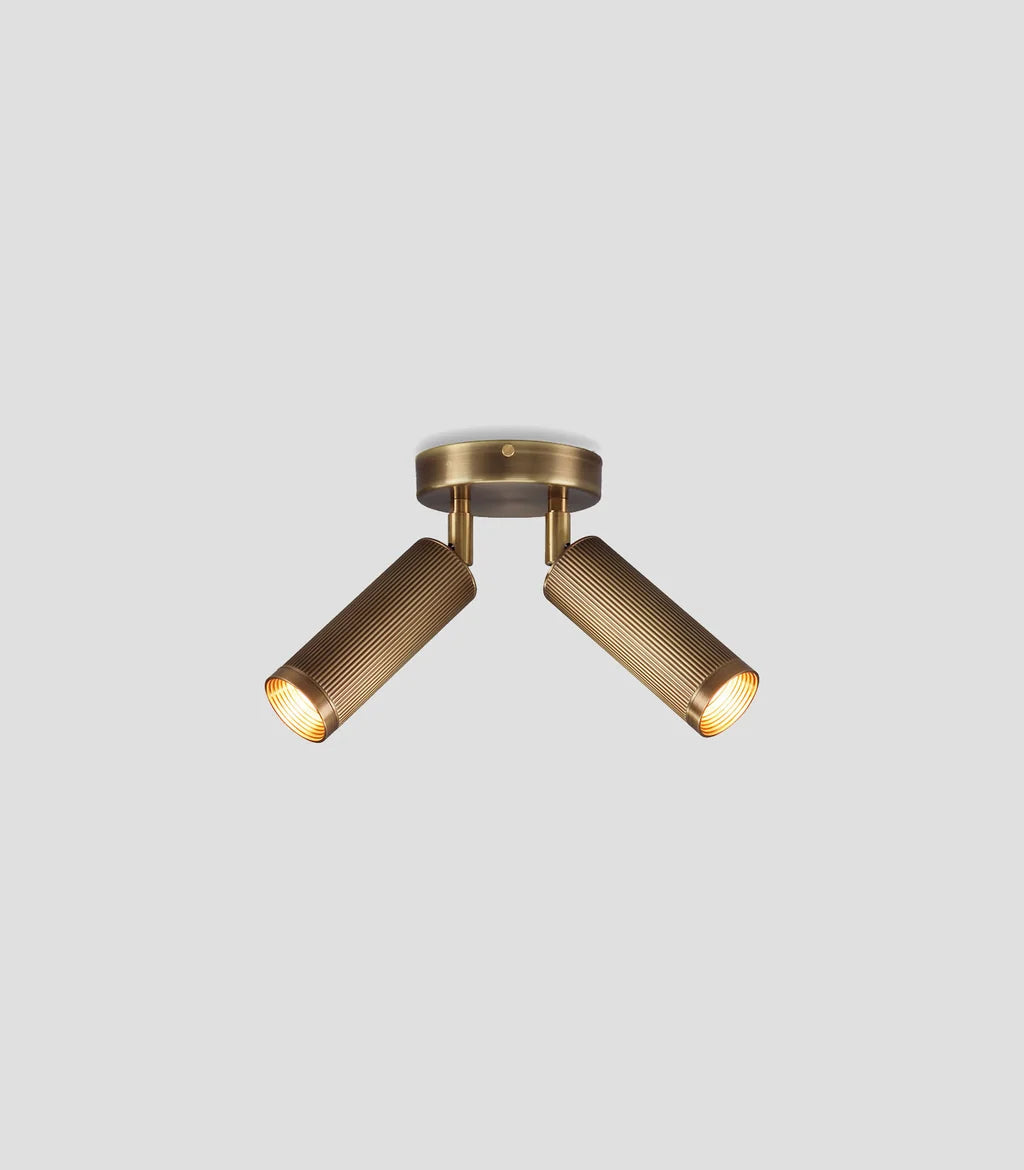 Spot Double Ceiling Light