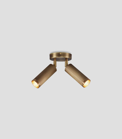 Spot Double Ceiling Light