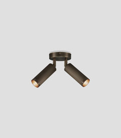 Spot Double Ceiling Light