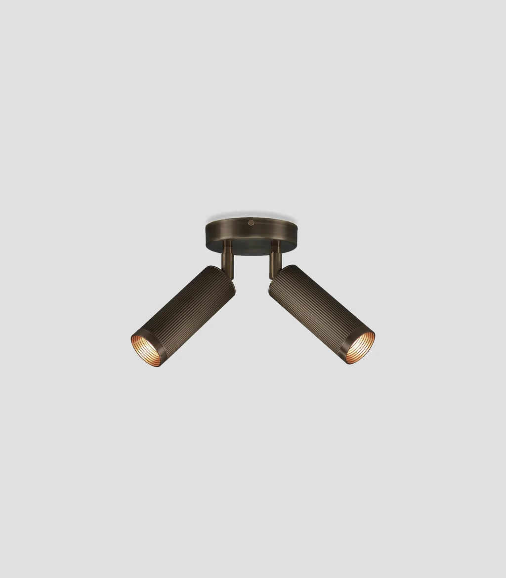 Spot Double Ceiling Light