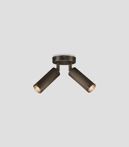 Spot Double Ceiling Light