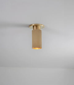 Spot Pro Mini Ceiling Light