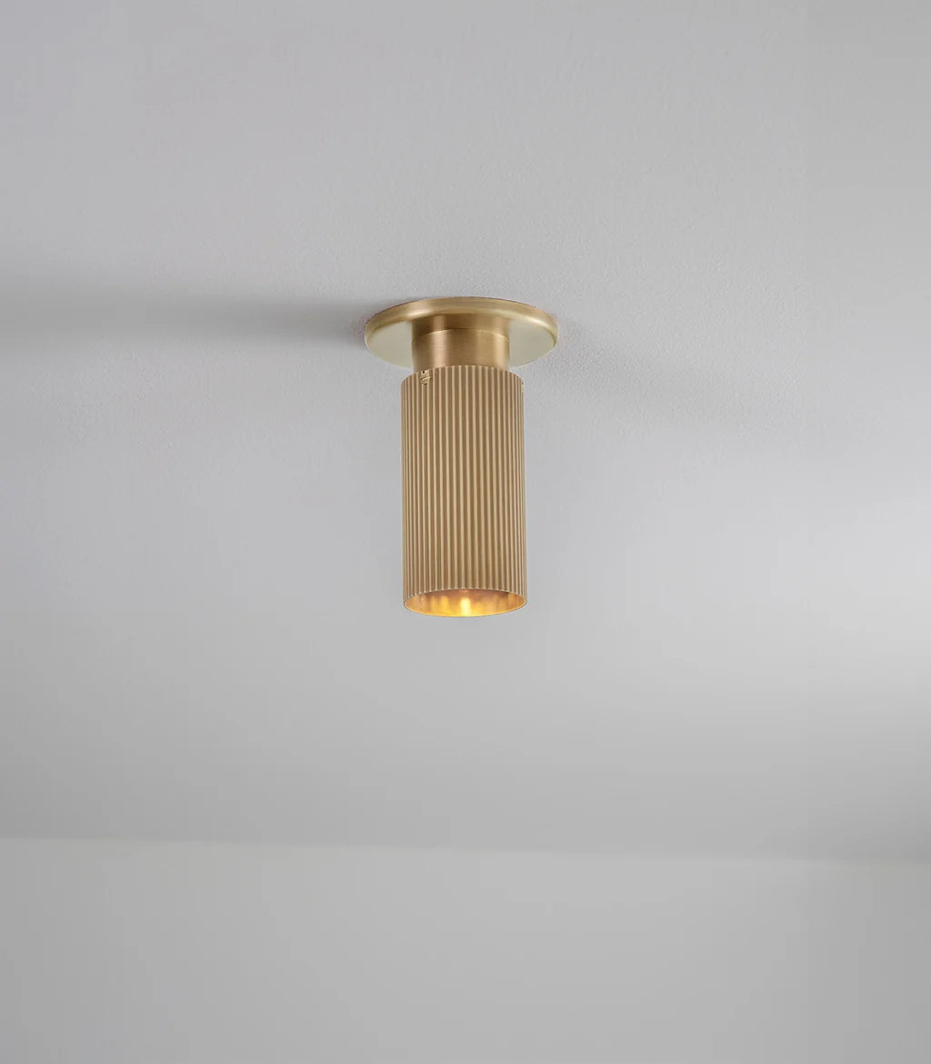 Spot Pro Mini Ceiling Light