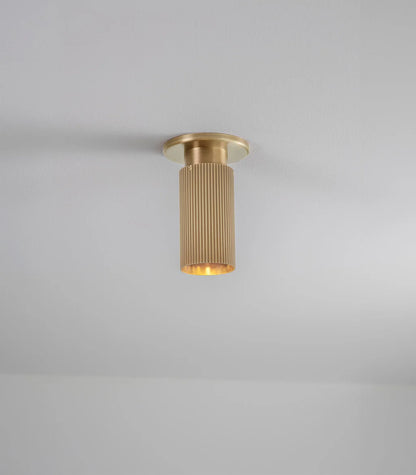Spot Pro Mini Ceiling Light