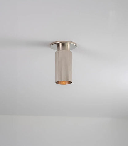 Spot Pro Mini Ceiling Light