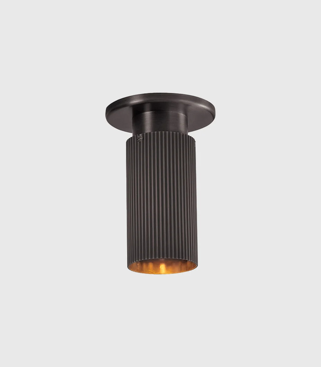 Spot Pro Mini Ceiling Light