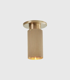 Spot Pro Mini Ceiling Light