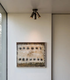 Spot Triple Ceiling Light