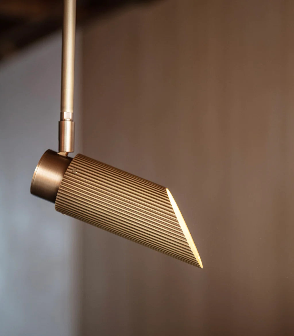Spot Pro Ceiling Light