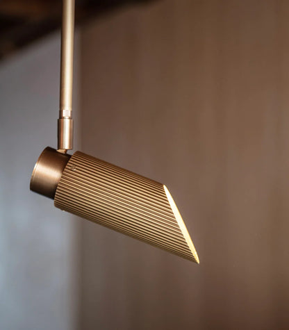 Spot Pro Ceiling Light