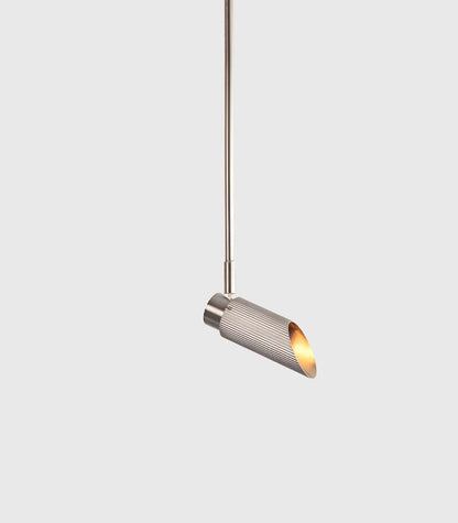 Spot Pro Ceiling Light