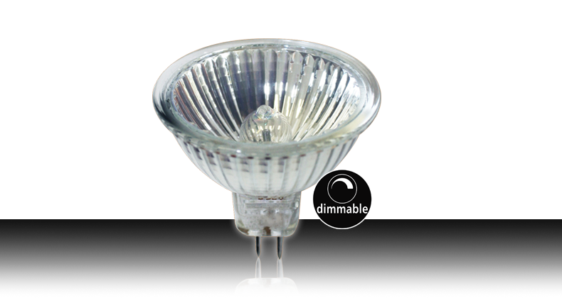 35w Halogen MR16 Globe