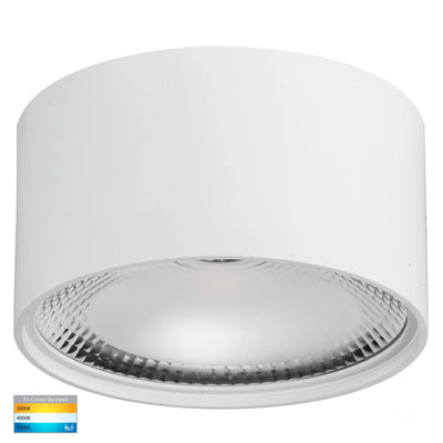 Surface Mount Downlights