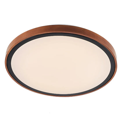 Orlin LED Oyster Light