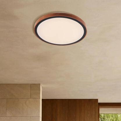 Orlin LED Oyster Light