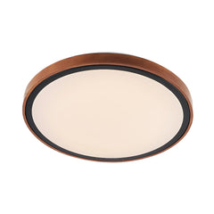Orlin LED Oyster Light