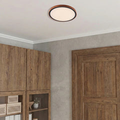 Orlin LED Oyster Light
