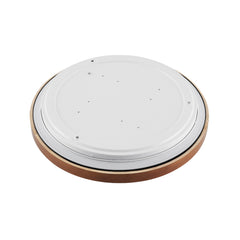 Orlin LED Oyster Light