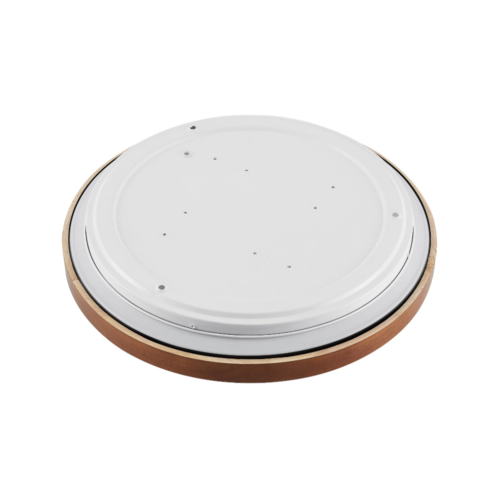 Orlin LED Oyster Light