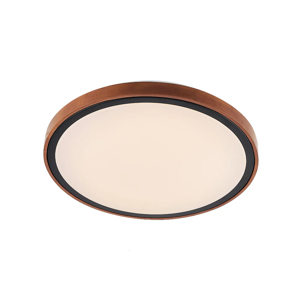 Orlin LED Oyster Light
