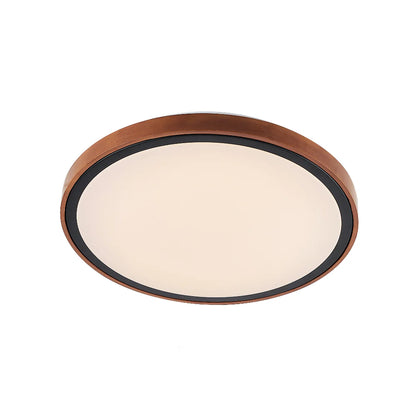 Orlin LED Oyster Light
