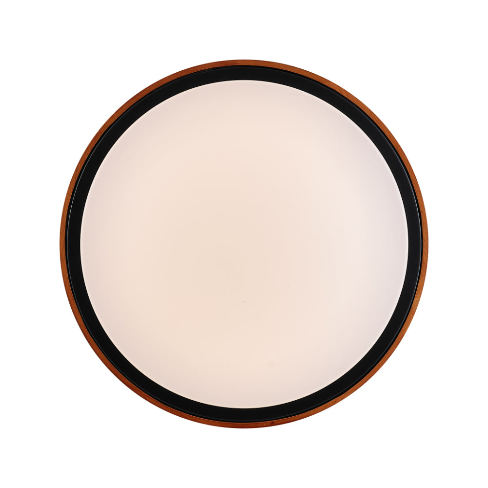 Orlin LED Oyster Light