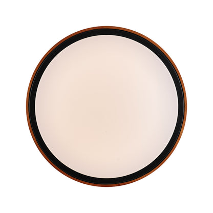 Orlin LED Oyster Light