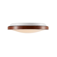 Orlin LED Oyster Light