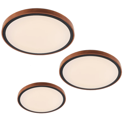 Orlin LED Oyster Light
