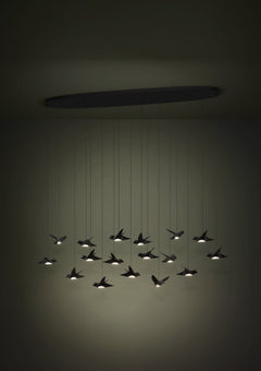 Paratebueno 17LT LED Pendant Black