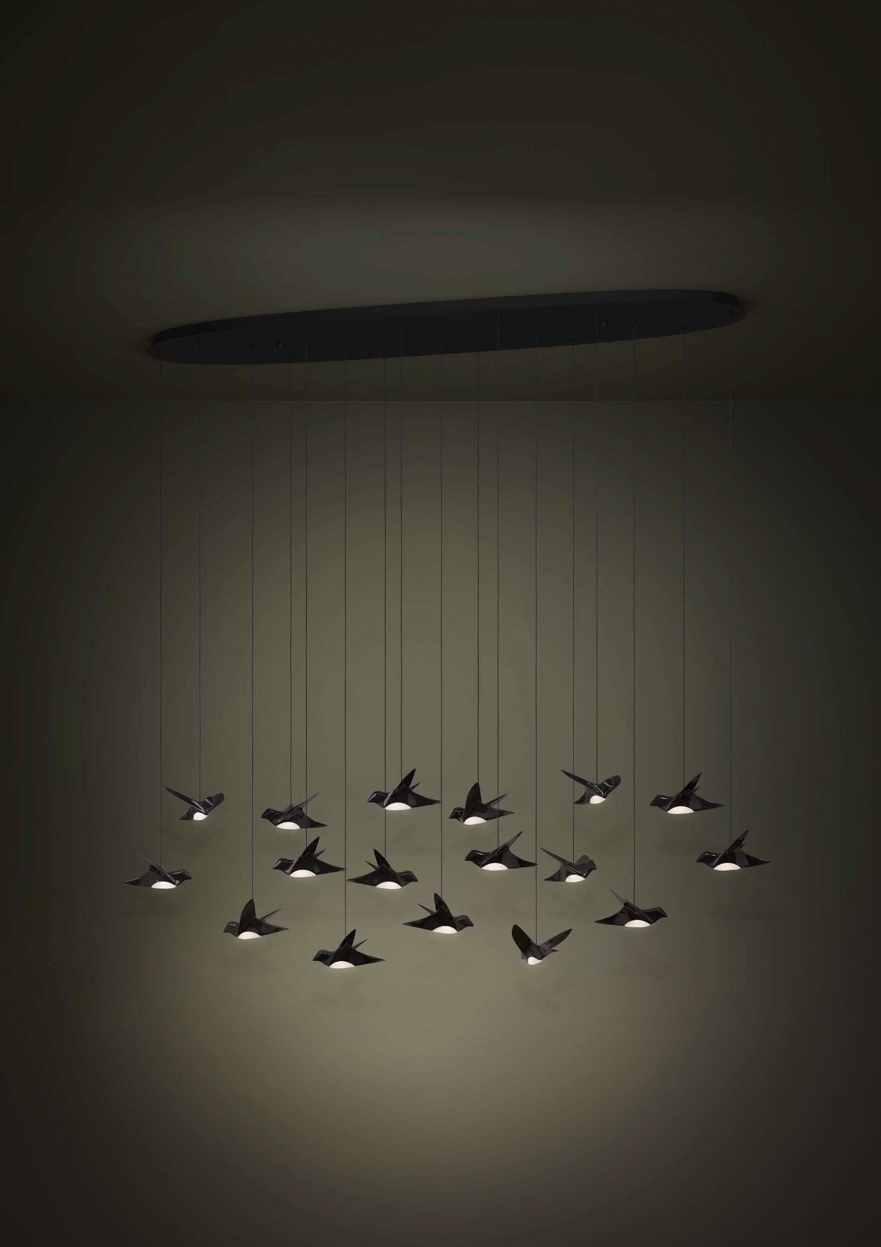Paratebueno 17LT LED Pendant Black