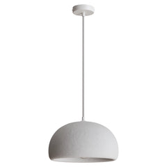 Passerine Dome Pendant